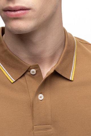 Polo - Marron