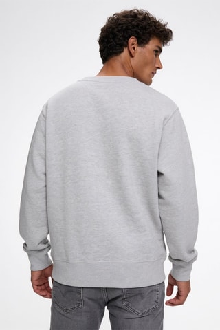 Sweater met capuchon - Gemêleerd Lichtgrijs