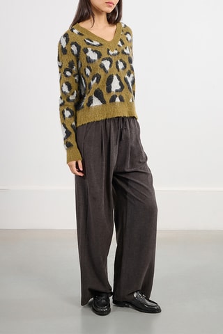 Pull - Kaki - Lili X Molly