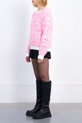 Pull - Rose - Lili X Molly