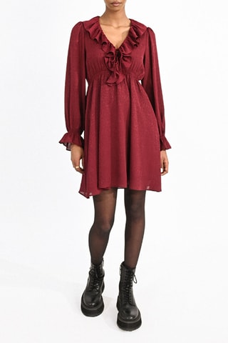 Robe patineuse - Bordeaux - Molly Bracken