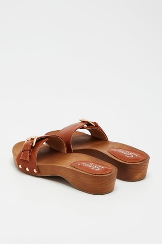 Mules - Camel 