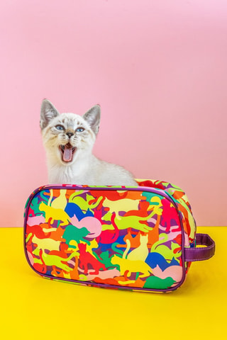 Toilettas Tidy - Paars - Multicolor