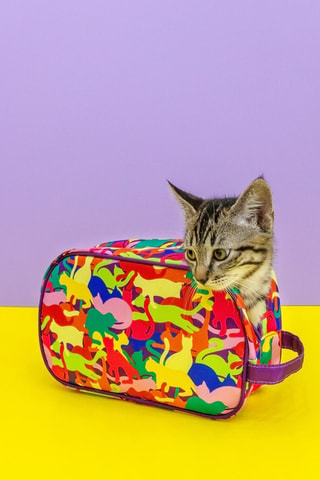 Toilettas Tidy - Paars - Multicolor