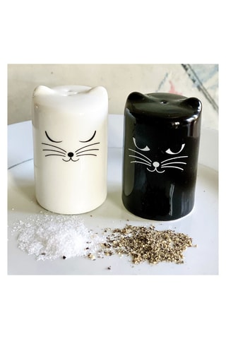 Salero y pimentero de porcelana Chalt and Cheper