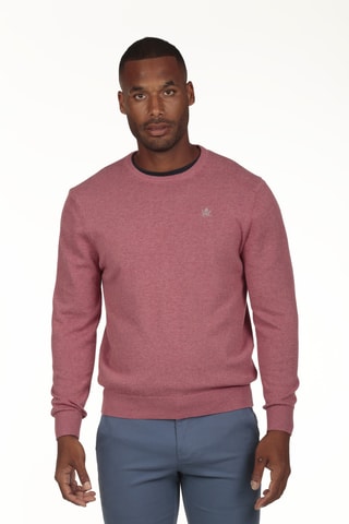Maglia - Rosa