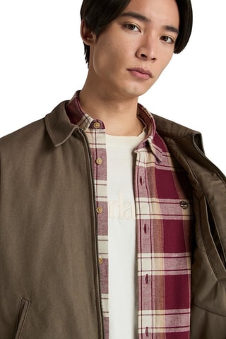 Veste Hollis - Marron