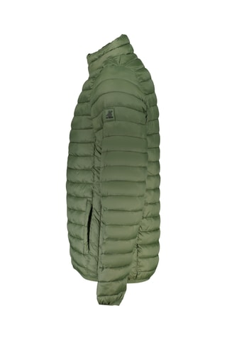 Veste - Vert
