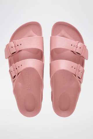 Mules Arizona - Rose