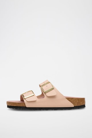 Mules Arizona - Rose