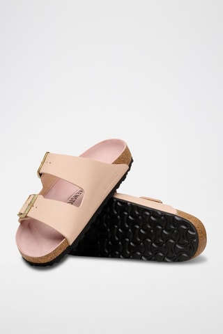 Mules Arizona - Rose