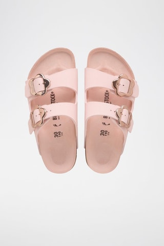 Mules Arizona - Rose