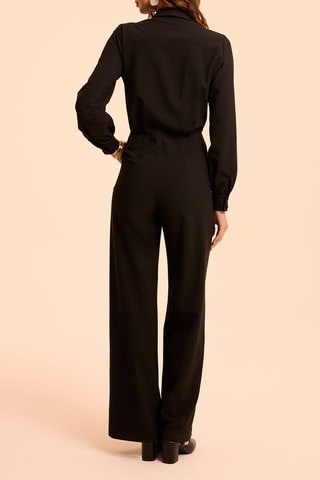 Mono - Negro