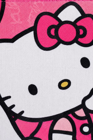 Etui Hello Kitty Sanrio - Roze