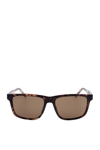 Lunettes de soleil homme  -  Catégorie 3  - Lacoste - Marron