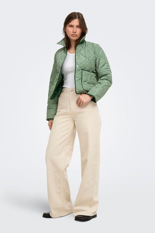 Veste - Vert