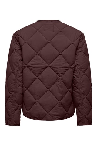 Veste - Marron