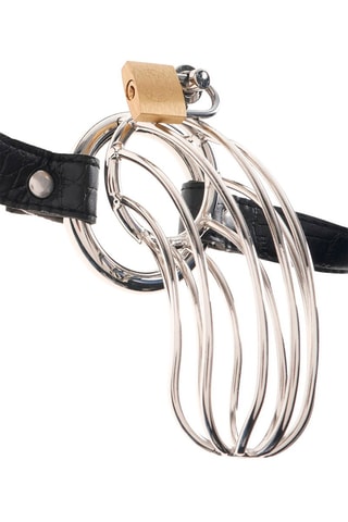Cockcage Zilverkleurig - 15 cm