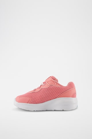 Baskets 578 - Rose