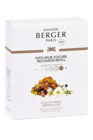 2 Keramische Navullingen voor Autodiffusors - Etoile d’Orient