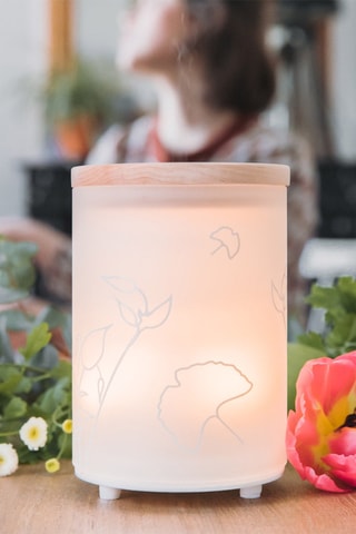 Diffuseur et parfum
