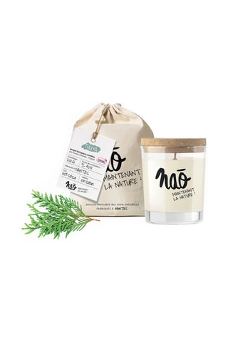 Bougie parfumée - Thuya - 40h