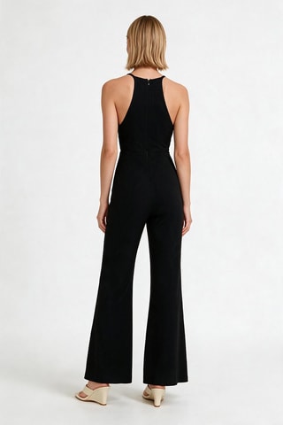 Mono - Negro