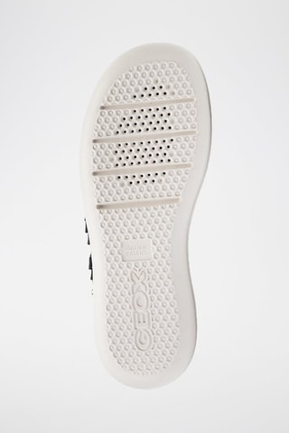 Leren Sneakers Jearl - Zwart - Geox