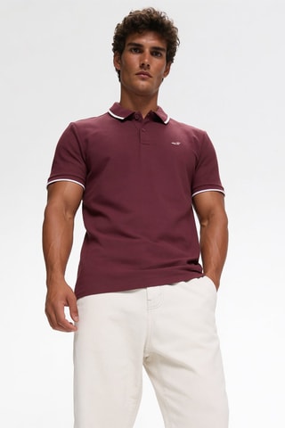 5 Polo’s - Wit en Blauw