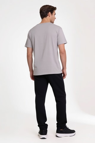 T-shirt regular en coton biologique Path Lake™ II - Gris
