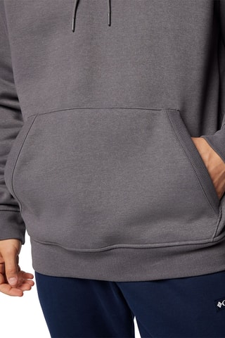 Sweat polaire à capuche Meridian Creek™ - Gris