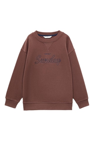 Sweater coton brodé - Marron