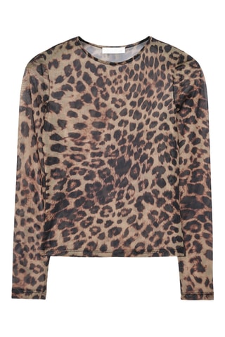 Top - Bruin