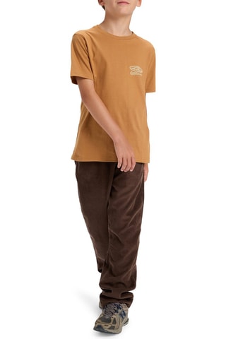T-shirt en coton biologique - Marron clair - Quiksilver