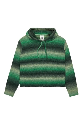 Sweat à capuche - Vert - Element