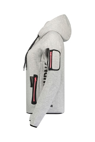Sweat à capuche Fanaticana - Gris
