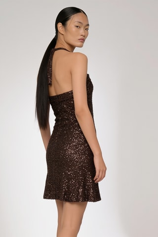 Robe patineuse - Marron