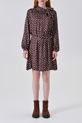 Robe patineuse - Marron