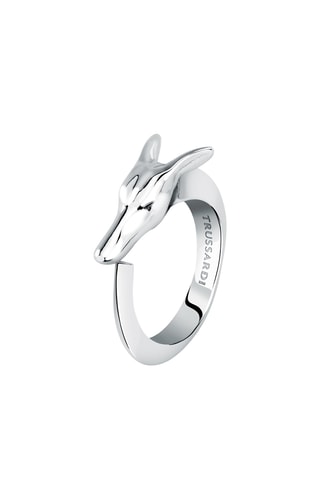 Ring - Zilverkleurig
