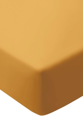 Sábana bajera de percal de algodón 95 hilos/cm² Uni - Amarillo