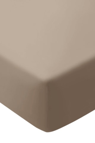 Sábana bajera de satén de algodón 120 hilos/cm² Liso - Topo