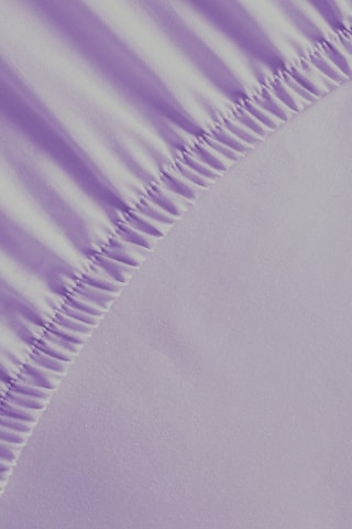Sábana bajera de satén de algodón 80 hilos/cm² Liso - Violeta