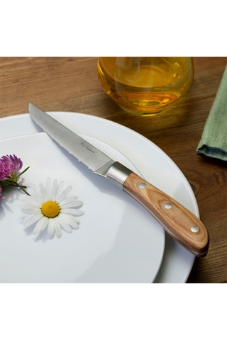6 couteaux à steak en acier et bois de pakka Elias - 28 cm