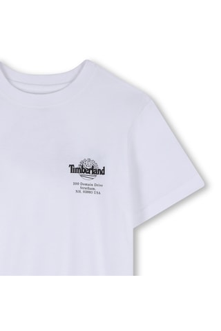 T-shirt - Blanc - Timberland