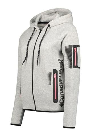 Sweater met Capuchon Fanatic - Lichtgrijs