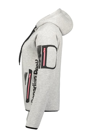 Sweater met Capuchon Fanatic - Lichtgrijs