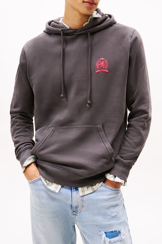 Sudadera con capucha - Gris