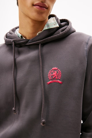 Sudadera con capucha - Gris