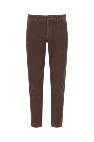 Velours Chino - Bruin