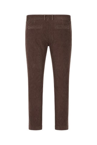 Velours Chino - Bruin